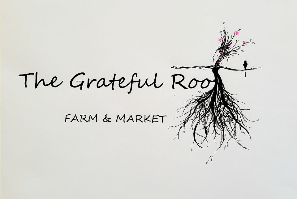 Sauteed Cabbage with Ginger – The Grateful Root Farm & Market, LLC