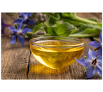 Borage Tincture/Extract