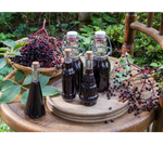 Elderberry & Pine Extract/Tincture